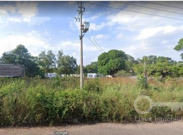 Terreno / Lote · 5250m² · Terreno en Venta en Calle Los Encinos, Col. La Esperanza, Chinameca, Ver.
