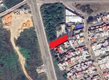 Terreno / Lote · 800m² · Venta y Renta de Terreno de 800 m² en Av del Bosque, Col. Santa Isabel, Coatzacoalcos, Veracruz.