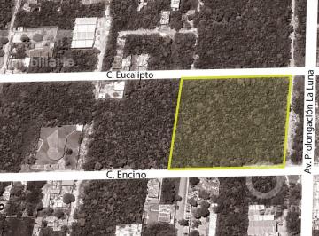 Terreno / Lote · 9909m² · Venta de Terreno de 9,909.41 m² en Av Prolongación La Luna, Cancún, Quintana Roo.