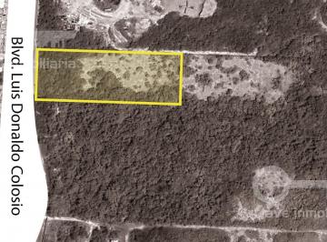 Terreno / Lote · 10000m² · Venta de Terreno de 10,000 m² en Boulevard Luis Donaldo Colosio, Col. Alfredo V. Bonfil, Cancún, Qui