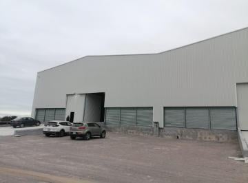 Bodega-Galpón · Bodegas - Industriales en Renta - (4)