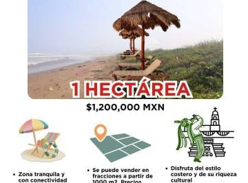 Terreno comercial · 10000m² · Venta Terreno a Orrilla de Playa en Papantla Veracruz - (4)