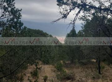 Terreno / Lote · 570655m² · Terreno / Lote en Venta en Galeana