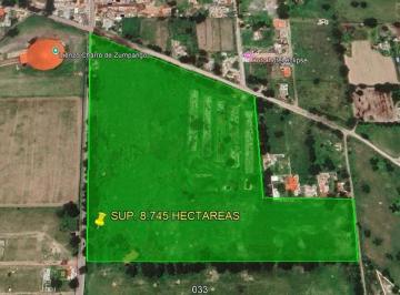 Terreno / Lote · 87450m² · Terreno en Venta, Zumpango, Nuevo Morelos, San Sebastian Sup. 8.745 Hectáreas