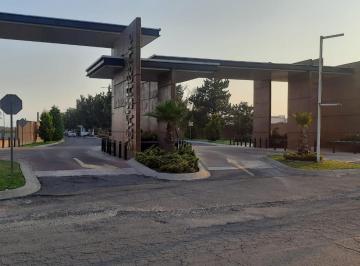 Terreno / Lote · Terreno en Fraccionamiento Hacienda San Antonio