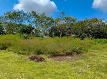 Terreno / Lote , Puente de Ixtla · Se Vende Terreno en Xoxocotla