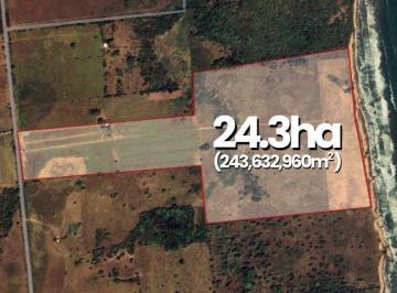 Terreno / Lote , Alvarado · 24.3 Hectáreas en Venta en El Bayo | Arlette Flores