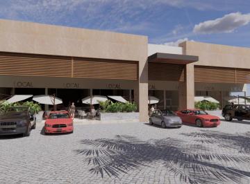 Local comercial · 75m² · Plaza Riviera Locales en Renta, Excelente Ubicación
