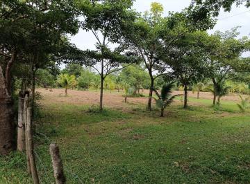 Terreno / Lote · 600m² · Medellin Terreno en Venta en El Copital, Super Oportunidad