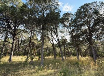 Terreno / Lote , Galeana · Gran Oportunidad de Inversión en La Esmeralda, Galeana