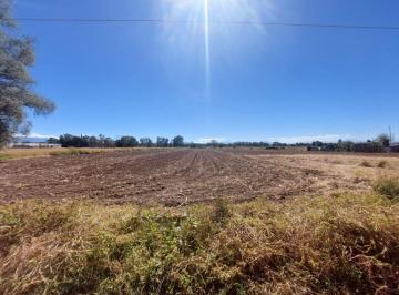 Terreno / Lote en Venta  Universidad Autónoma de Chapingo · Terreno en Venta Texcoco Boyeros