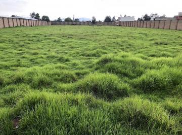 Terreno / Lote · 6700m² · Venta de Terreno en La Colonia Lázaro Cárdenas en Metepec Atrás de Esportika
