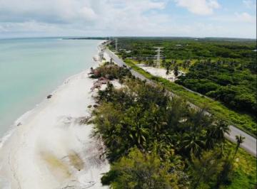 Terreno / Lote , Carmen · Lote de 724 m² Km 15.8 Carretera Carmen - Puerto Real - Frente de Playa