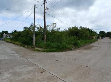 Terreno / Lote · 1786m² · Terreno en Venta, Col. Miramar, Tampico Alto.