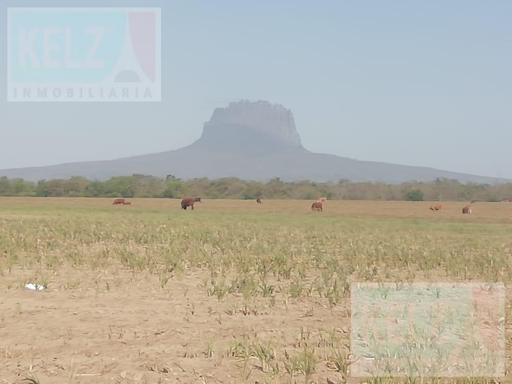 Land - González
