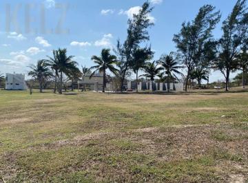 Terreno / Lote · Terreno - Tampico Alto Centro