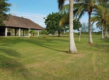 Terreno / Lote · 1380m² · Terreno - Tampico Alto Centro
