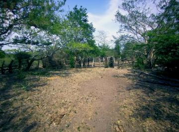 Rancho · 302500m² · Terreno - Tampico Alto