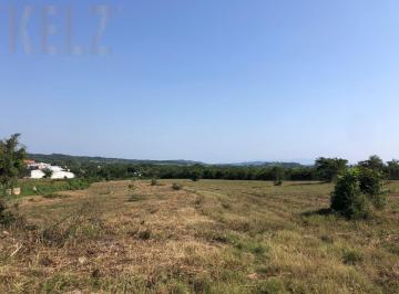 Terreno / Lote · 22500m² · Terreno - Tantoyuca Centro