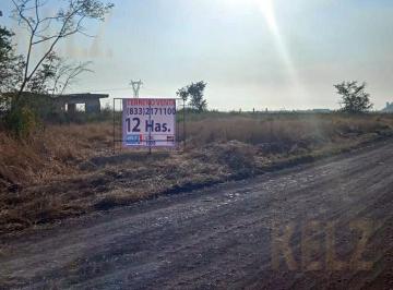 Terreno / Lote · Terreno - Altamira