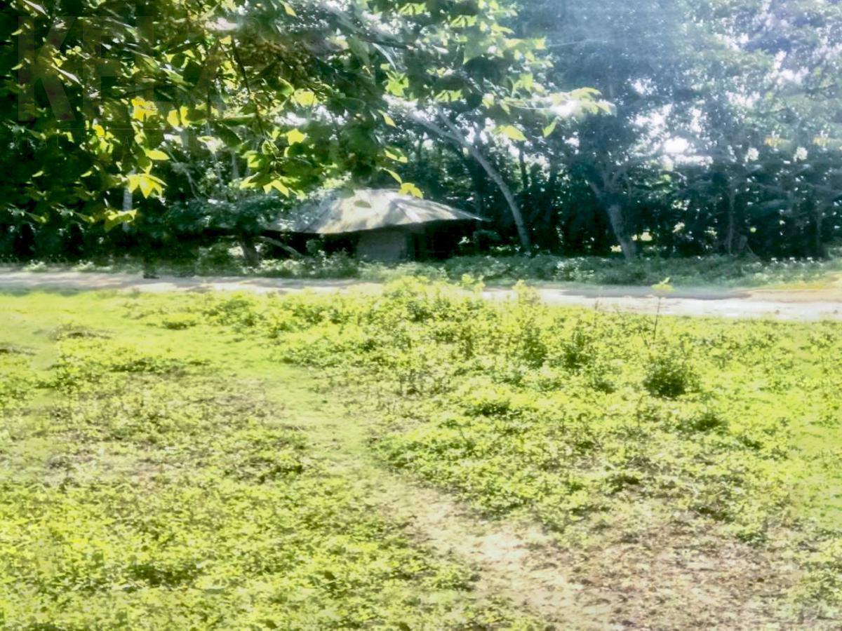 Terreno en Venta, Congregación Alto del Moralito, Ozuluama, Verecruz