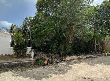 Terreno / Lote , Benito Juárez · Venta Terreno Residencial en Álamos