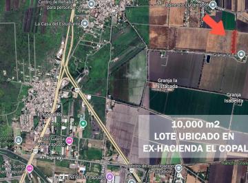 Terreno / Lote · 10000m² · Terreno en Venta en Exhacienda El Copal