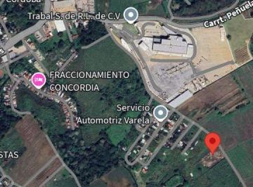 Casa de 1 habitación, Amatlán de los Reyes · Terreno en Venta con Superficie de 5,687 m² Amatlan de Los Reyes, Ver.