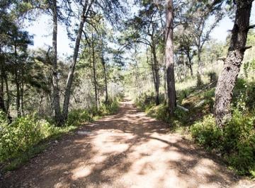 Terreno / Lote · 10000m² · Terreno en Venta Dentro del Bosque en Concepción de Buenos Aires Rancho Viejo