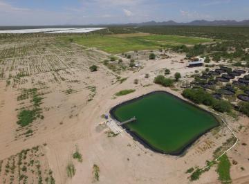 Terreno / Lote , San Miguel de Horcasitas · Finca en Venta, San Miguel de Horcasitas, Pesqueira Sonora.