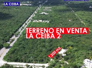 Terreno / Lote · 1200m² · Terreno en Venta $1,900 m² en La Ceiba II, Zona Country, Mérida - (4)