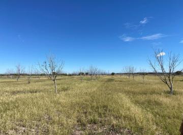 Terreno / Lote · 46900m² · Terreno en Venta en Concordia (La Rosita), San Pedro, Coahuila de Zaragoza.
