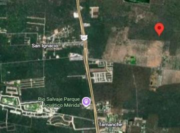 Terreno / Lote · 36144m² · Terreno en Venta de 3 Hectáreas en Xcunya