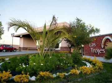1 · Terreno en Venta en Las Trojes, Torreón, Coahuila de Zaragoza