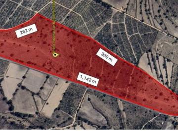 Terreno / Lote · 183047ha · Venta Terreno Temascalapa, Edo Mex (25 Minutos Aifa)