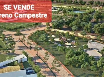 Terreno / Lote , Lagos de Moreno · Terreno Campestre en Puerta Luna Reserva Ecológica. a 10 Min. Zona Norte León.