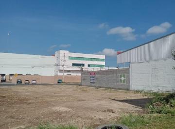 Terreno / Lote , Celaya · Terreno en Renta