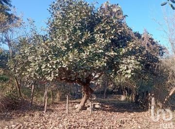 Terreno / Lote · 110m² · Terreno en Venta Puerto Vallarta Es Ejidal