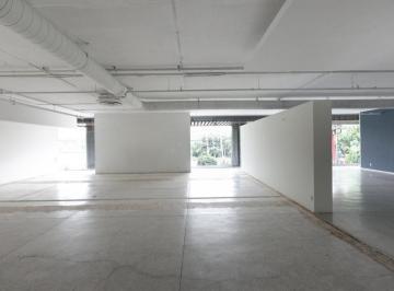 4bce105244cfa5dbdb7a4960072d4198b92c293cd686c6f59d97fd5061970772 · Renta Local Comercial, 484.40 m², Primer Piso, Polanco, Miguel Hidalgo