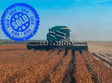 Rancho · 250000m² · Hectáreas de Siembra en Venta, Municipio de González, Tam. Desde $40,000 Ha