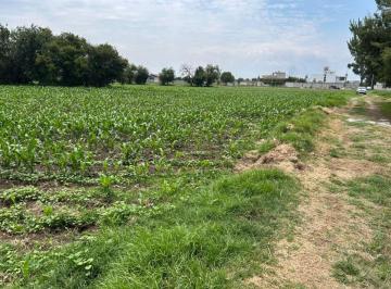 Terreno / Lote , Panotla · Terreno de 9 Mil m² en Venta en Panotla
