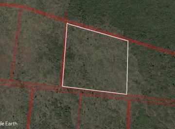 Terreno / Lote · 250000m² · Terreno de 25 Ha - Seye - Salida Carretera a Cancún