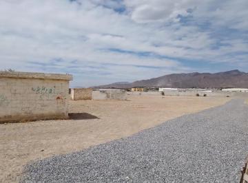1 · Terreno en Renta en Los Laureles, Arteaga, Coahuila de Zaragoza