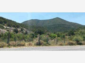 1 · Terreno en Venta en Los Lirios, Arteaga, Coahuila de Zaragoza