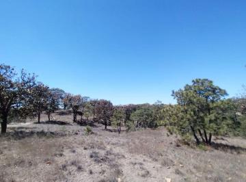 Terreno / Lote , Zapopan · Terreno en Venta en La Primavera - Ex Hacienda La Primavera