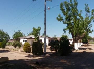 Rancho · 400000m² · Venta de Rancho Agricola en El Sauz