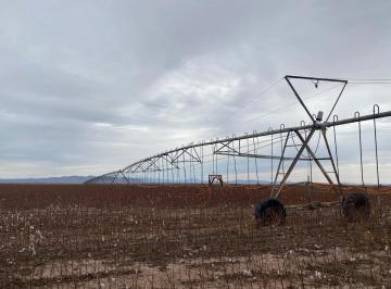 Rancho · 6820000m² · Venta de Rancho Agricola Km 93 Carretera a Juarez
