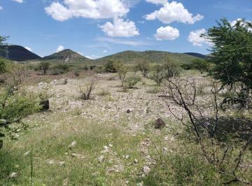 Terreno / Lote · 10000m² · Terreno Sobre La Carretera a Cd Cuauhtémoc