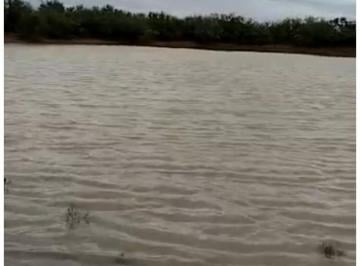 Rancho · 100000000m² · Venta de Rancho Mpio de Villa Ahumada