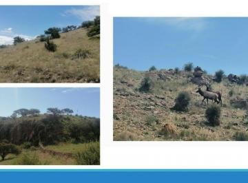 Rancho · 43250000m² · Venta de Rancho El Alamo